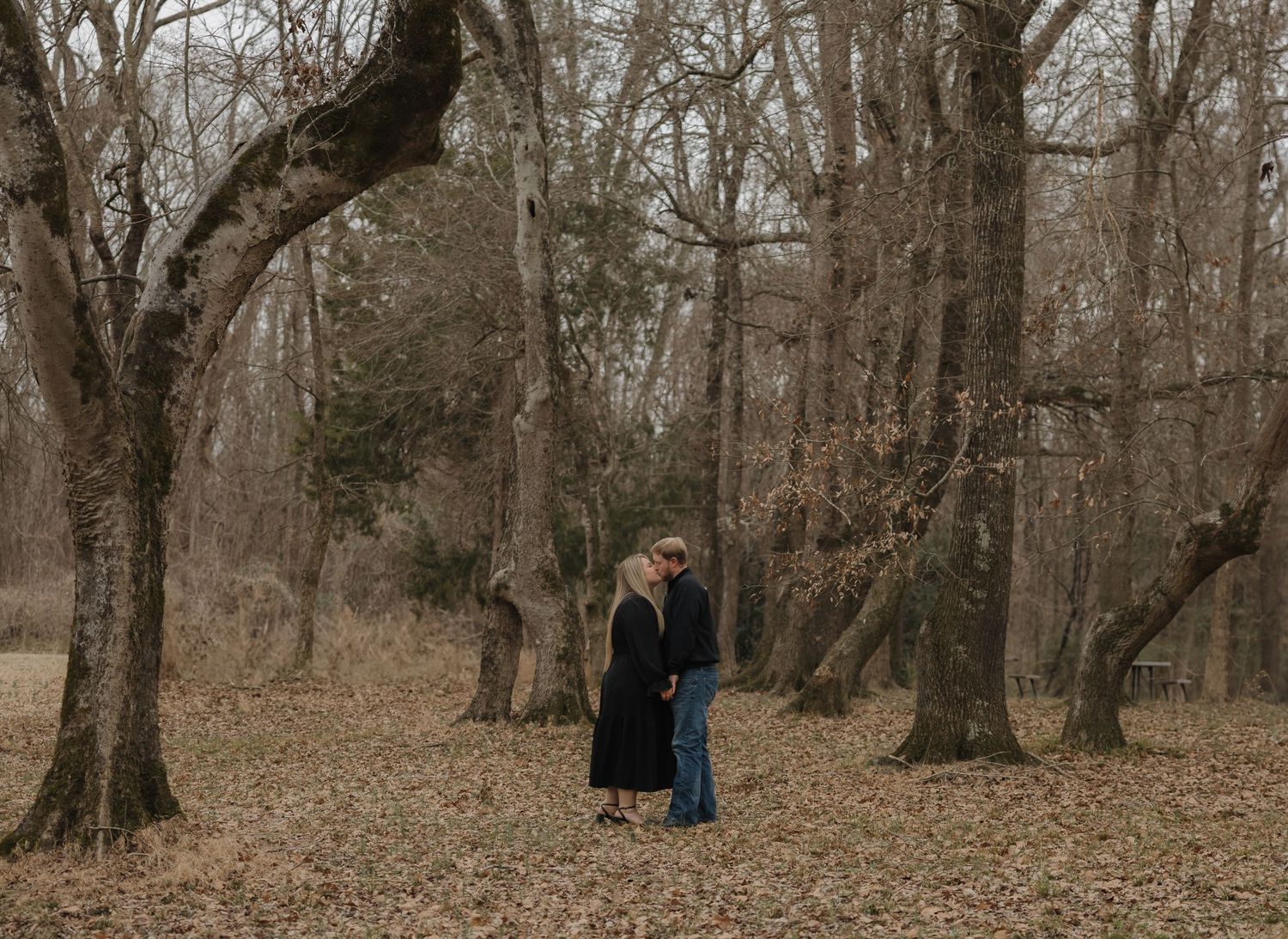 Dreamy outdoor engagement photos