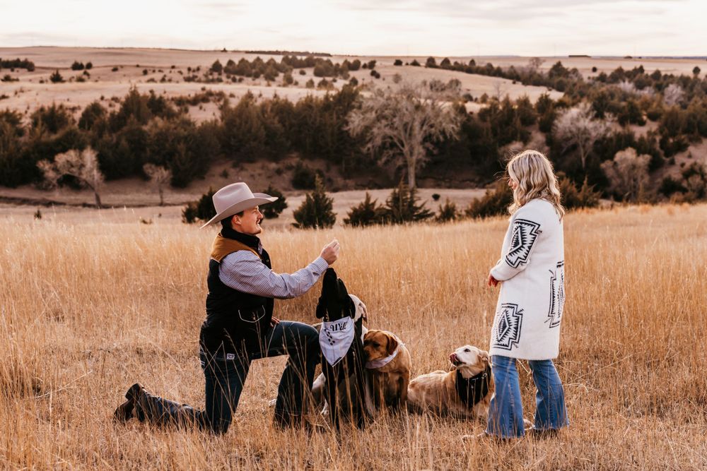 Marriage proposal taking place in a scenic field at sunset.