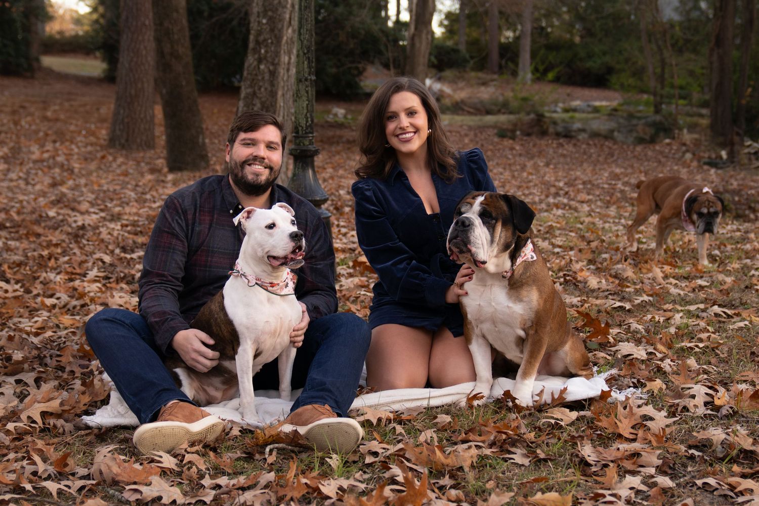 Couple sitting on blanket with three dogs in autumn park setting.