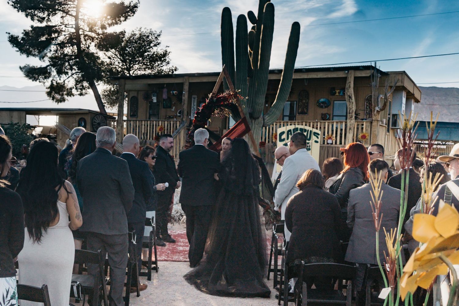 A group of people in formal attire stand together outdoors during a sunset gathering with trees in the background.