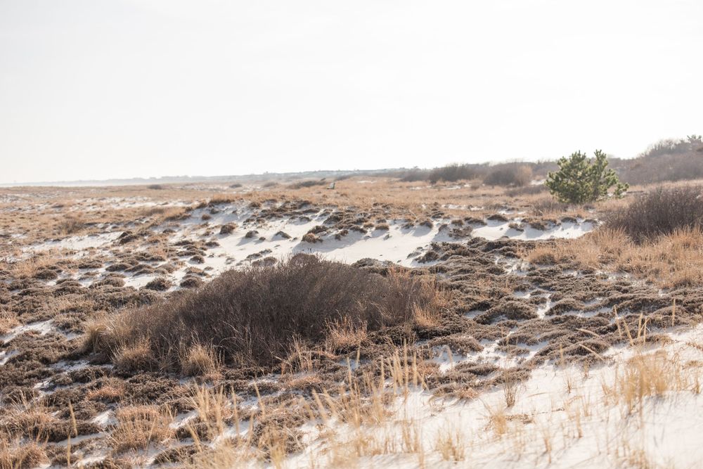 Long Beach Island Maternity Session - Jersey Shore Maternity Photographer
