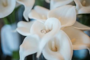 Close-up of elegant white calla lilies with a sparkling diamond engagement ring nestled among the blooms.
