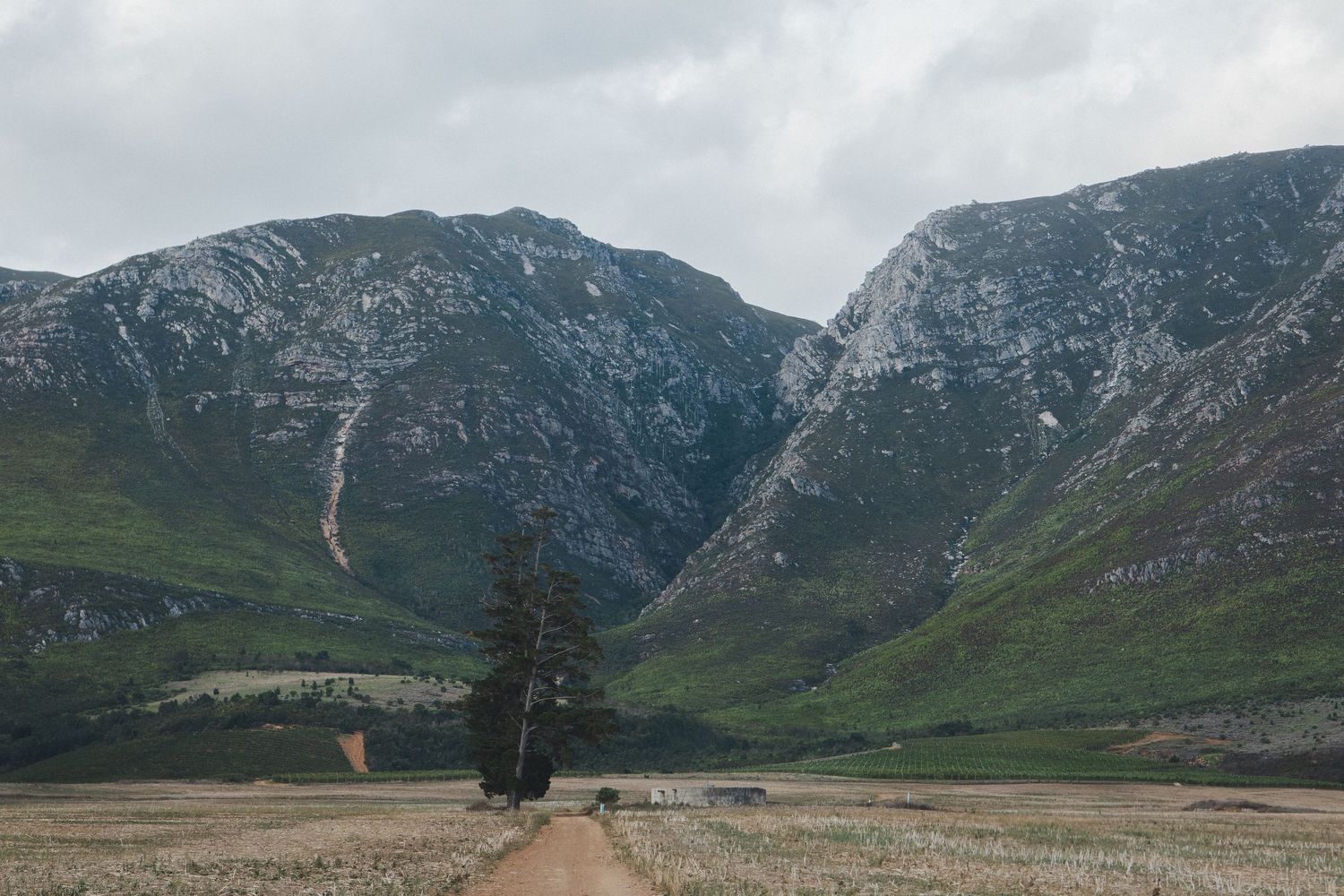 Panoramic view of Oak Valley Wine Estate in Elgin, surrounded by mountains and vineyards