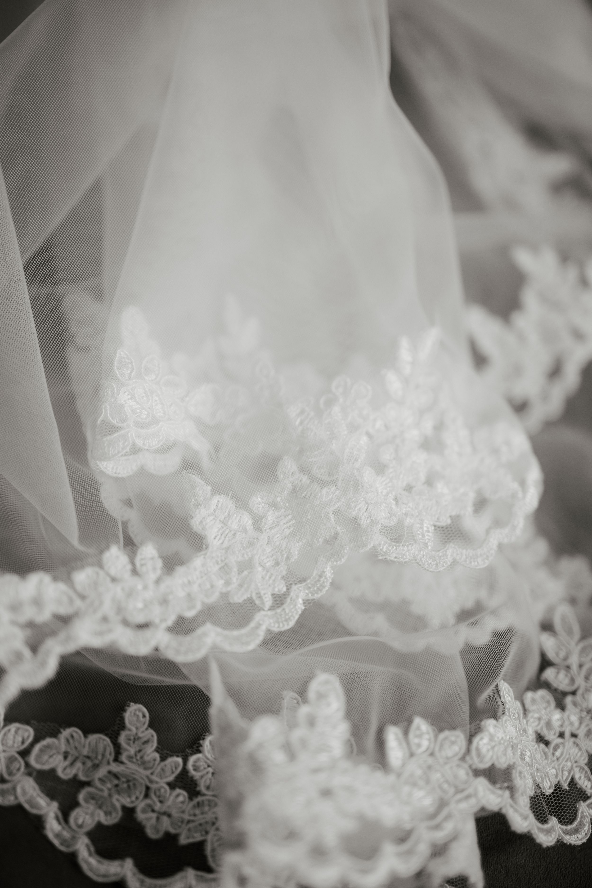 Close-up detail of white lace embroidered wedding veil in black and white.