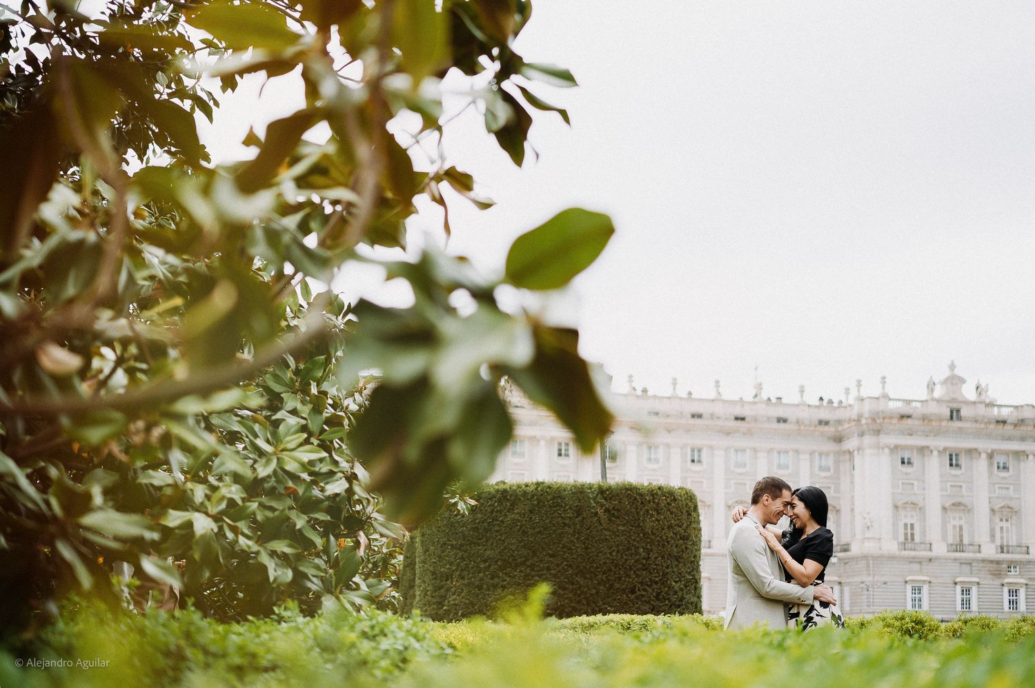 Romantic couple embracing in lush gardens with the Royal Palace of Madrid behind them.