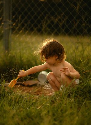 A toddler sits shirtless in green grass near a chain-link fence, playing outdoors in warm golden light.
