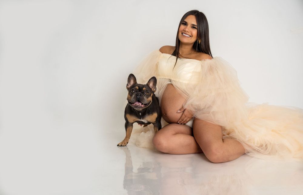 Pregnant woman in elegant cream tulle gown poses with French Bulldog against white background in maternity photo shoot.