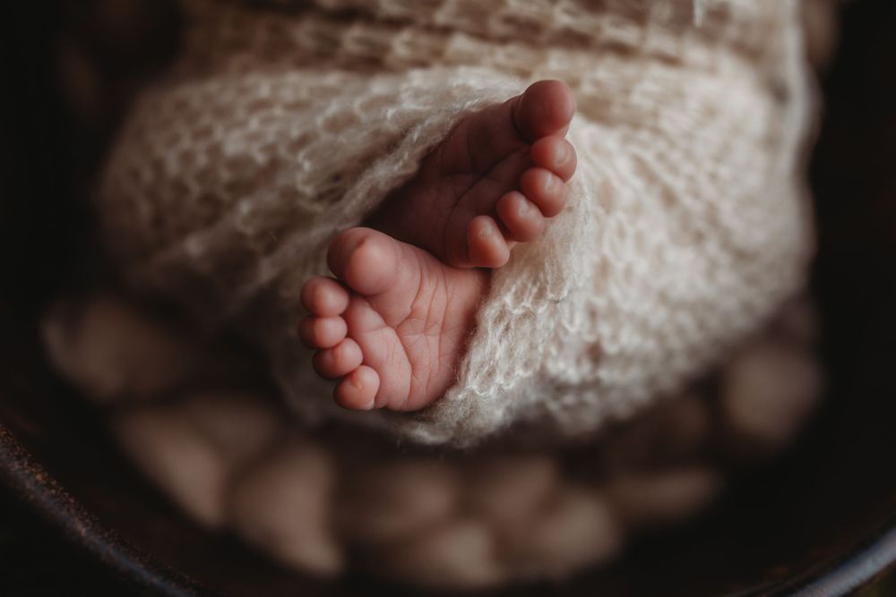 Newborn Photoshoot in Cullman, Alabama by a North Alabama Photographer and Cullman, Alabama Photographer Newborn photographer in Cullman, AL