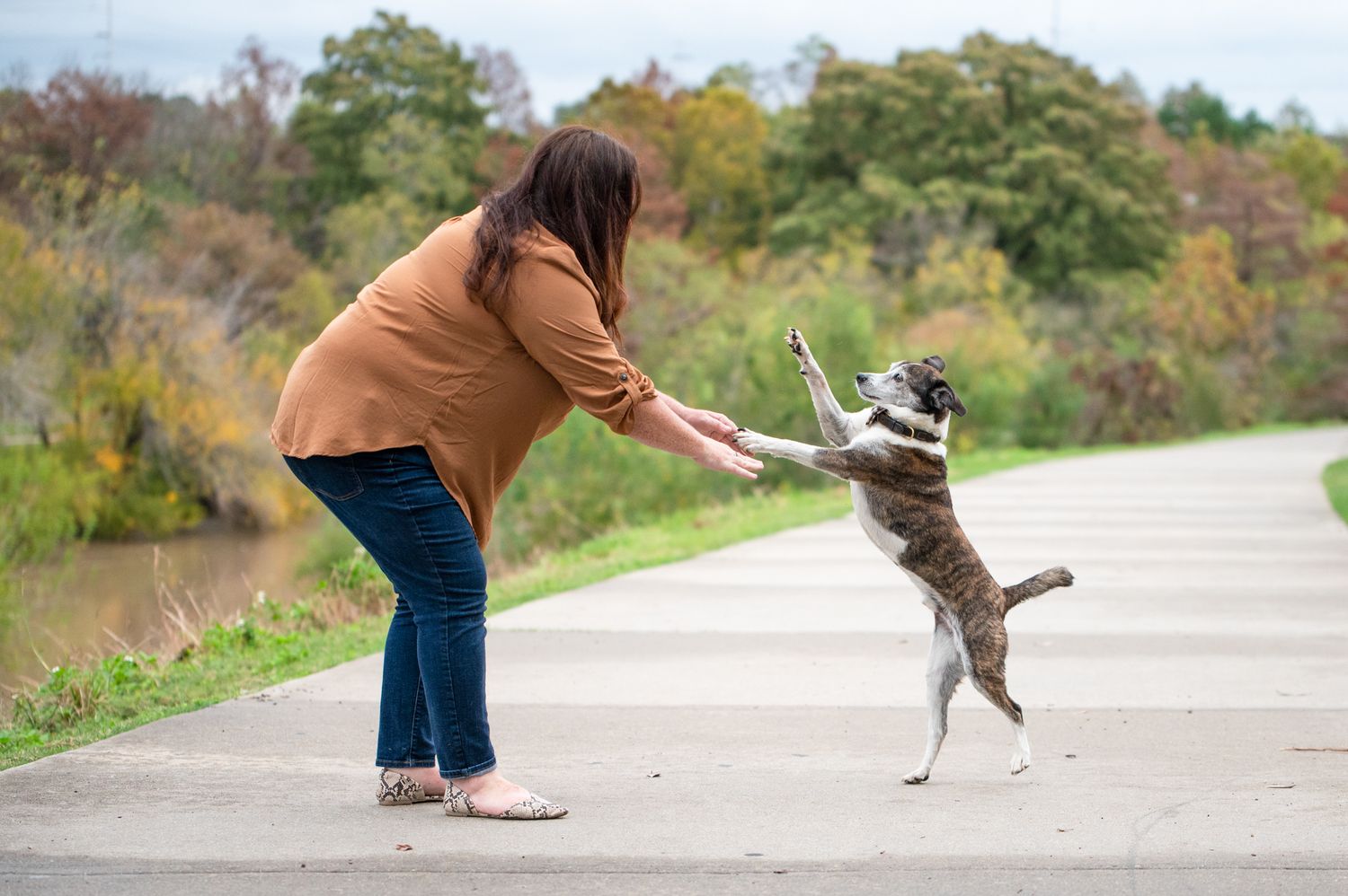 Woman in brown jacket playing with a jumping dog on a paved path surrounded by autumn foliage.