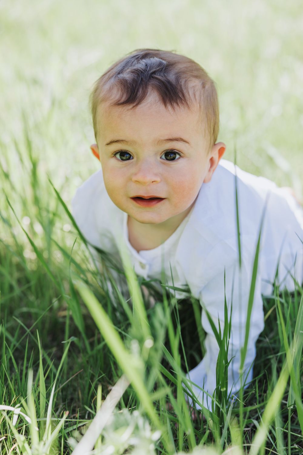 Lifestyle portrait of baby boy in white outfit crawling through lush green grass outdoors, looking up with bright curious eyes.