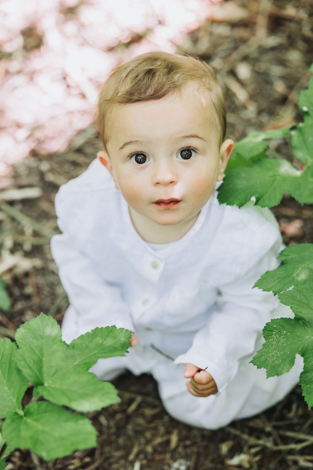 Portrait of a baby in a white outfit sitting among green leaves outdoors, looking up with wide brown eyes.