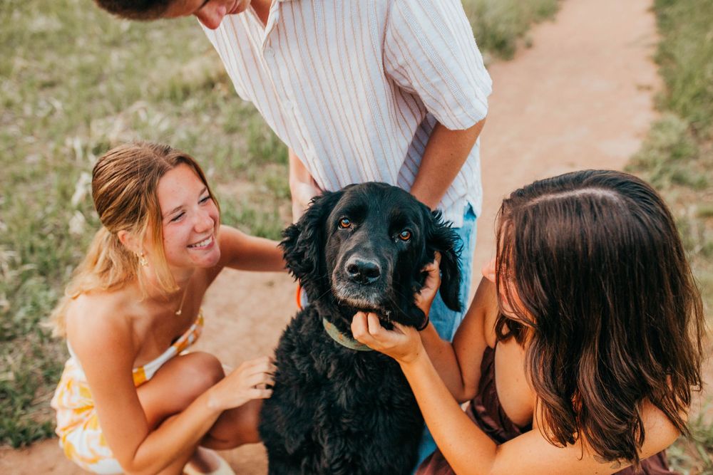 Two girls and a boy petting a black cocker spaniel dog outdoors on a dirt path.