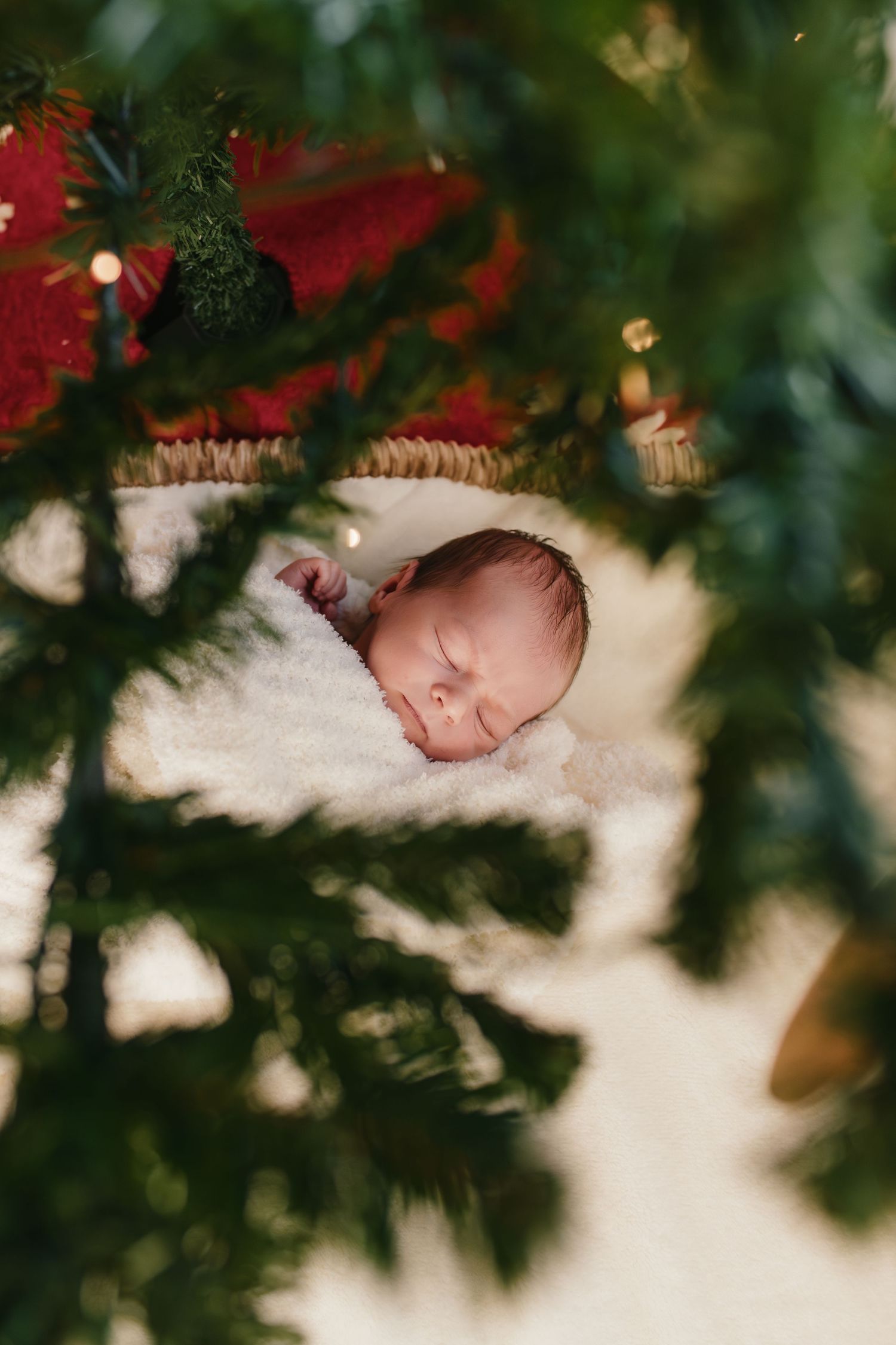 Sleeping newborn photographed through Christmas tree branches and decorations.