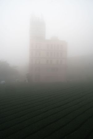 Tall building facade fading into dense fog with striped field in foreground.