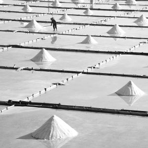 White salt mounds arranged in neat rows across evaporation ponds.