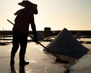 Silhouettes of workers harvesting salt at sunset in shallow waters.