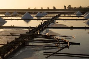Salt evaporation ponds reflecting golden sunset light with linear patterns.
