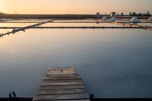 Panoramic view of salt pans with wooden walkways at dusk.