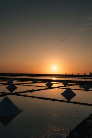 Geometric patterns of salt evaporation ponds reflecting golden sunset light with birds flying overhead.
