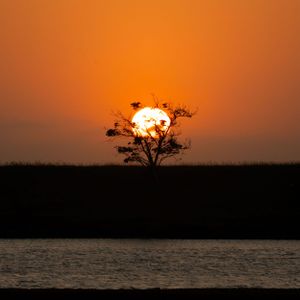 Dramatic sunset behind a lone tree silhouetted against an orange sky over water.