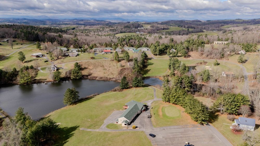 Drone shot of a lakeside property with houses nestled among bare trees.