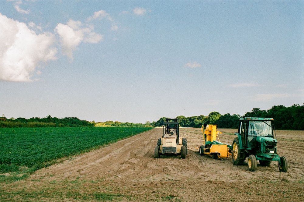 Three farming tractors parked on a dirt road next to green agricultural fields.