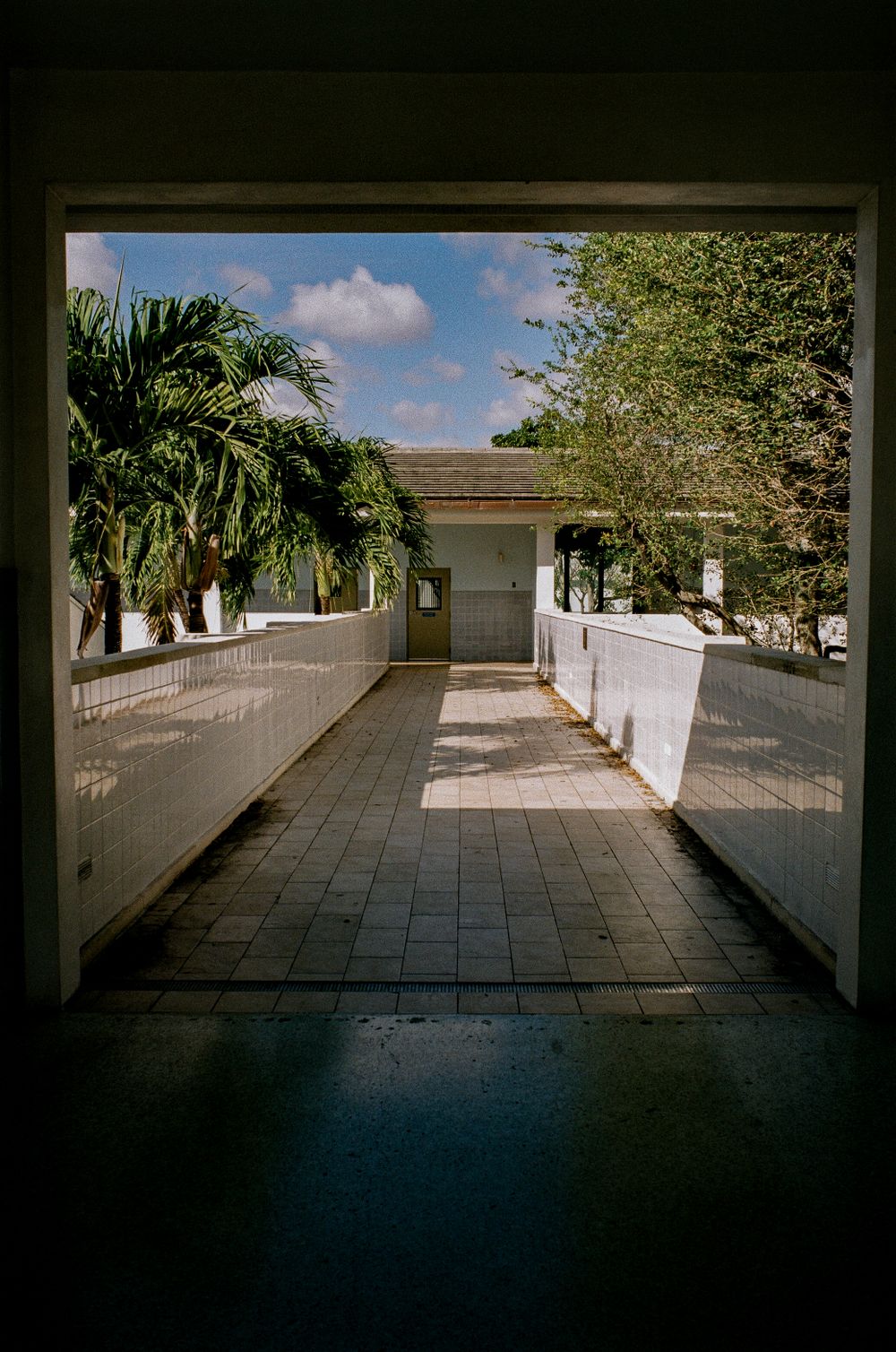 Covered walkway with palm trees and white walls leading to a building entrance.