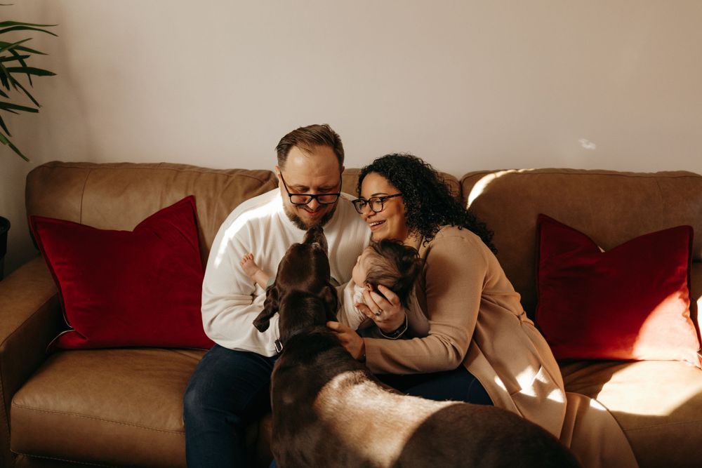Couple sitting on brown leather couch laughing and playing with their black dog in warm sunlit room.