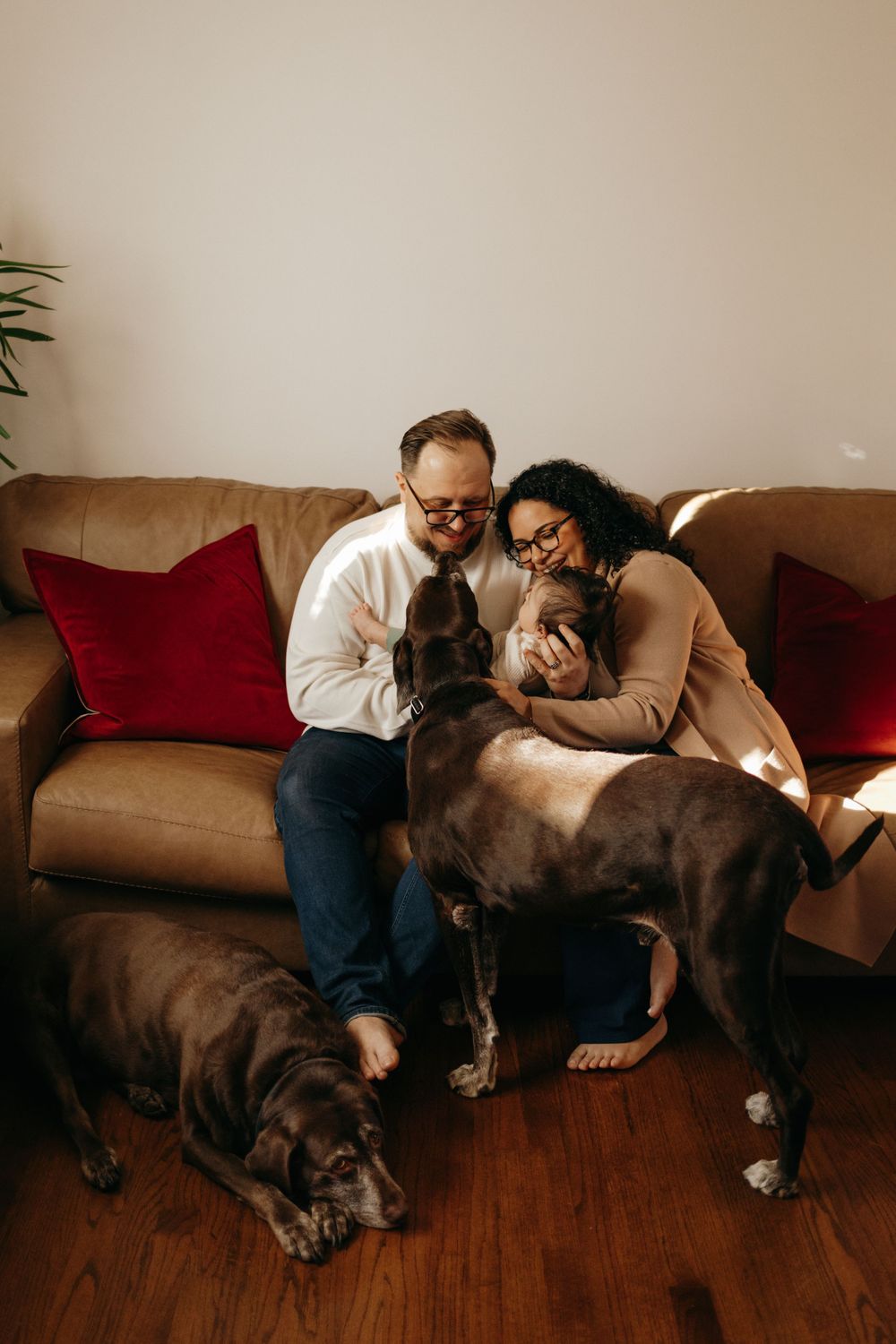 A family sits together on a brown couch with two large dogs and red throw pillows in a cozy living room setting.