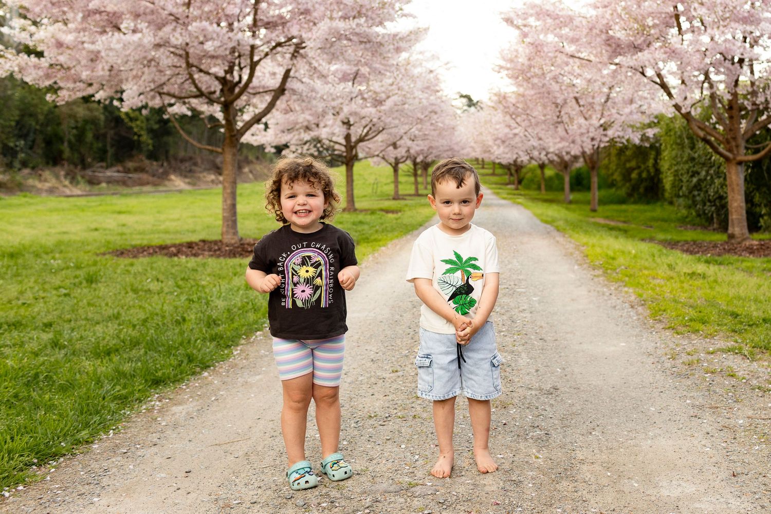 Two children stand on a gravel path beneath beautiful blooming cherry blossoms in spring.