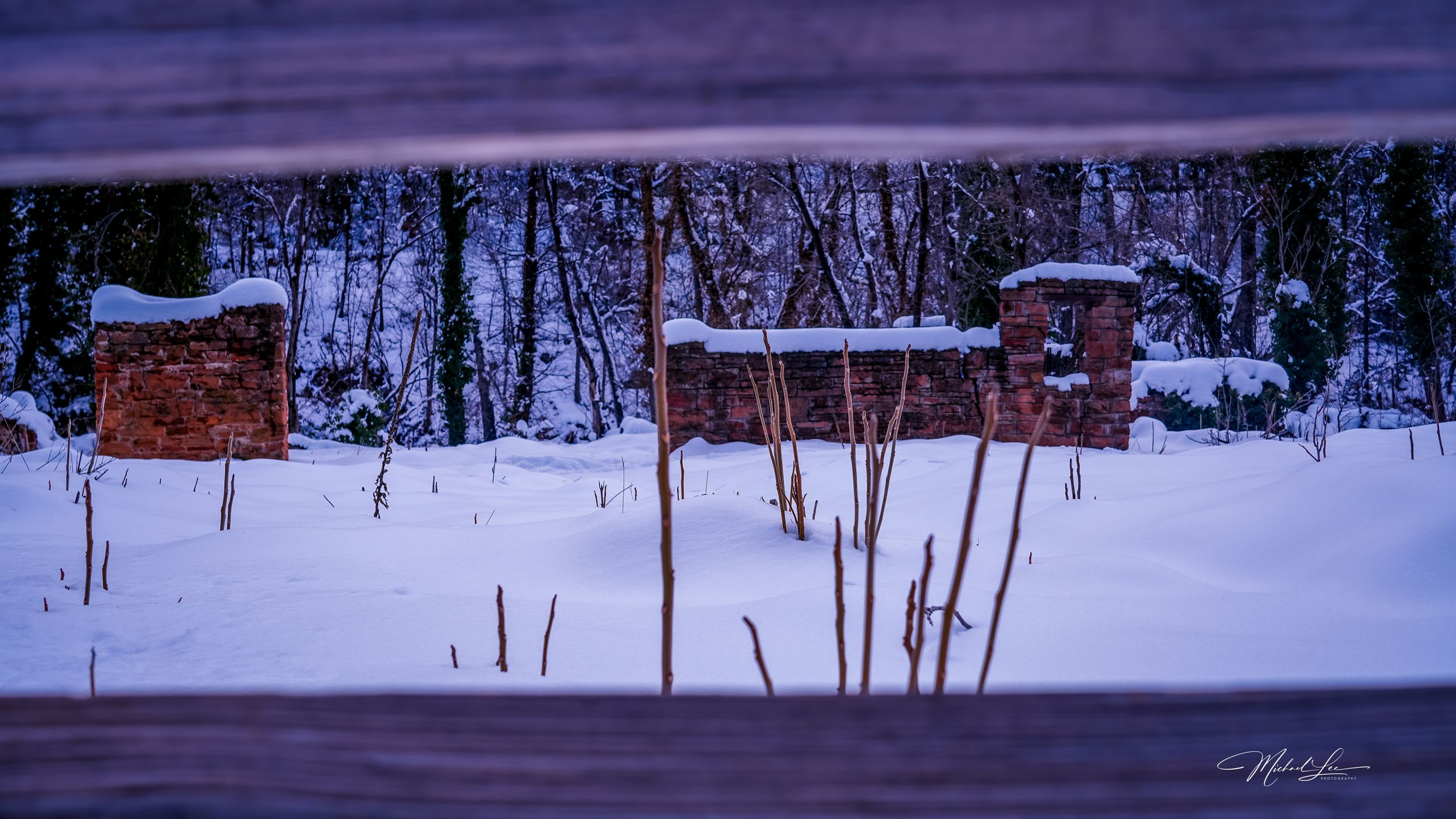 Bird feeders stand in deep snow against a backdrop of winter forest at dusk.