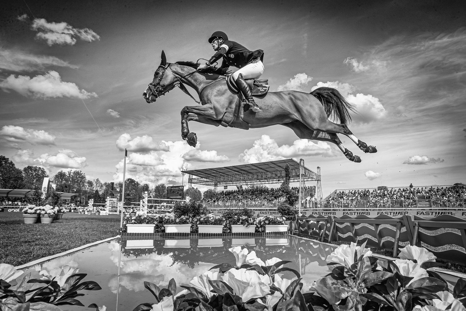 Foto Vincitrice Spider Black and White Awards