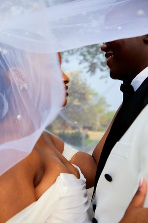 Close-up wedding photography captures intimate moments through a delicate veil.