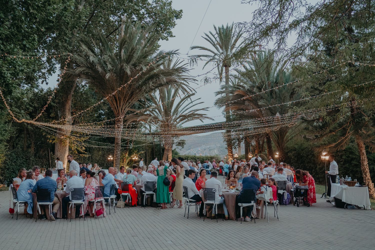 Wedding guests seated outdoors at tables under palm trees during a beautiful evening reception.