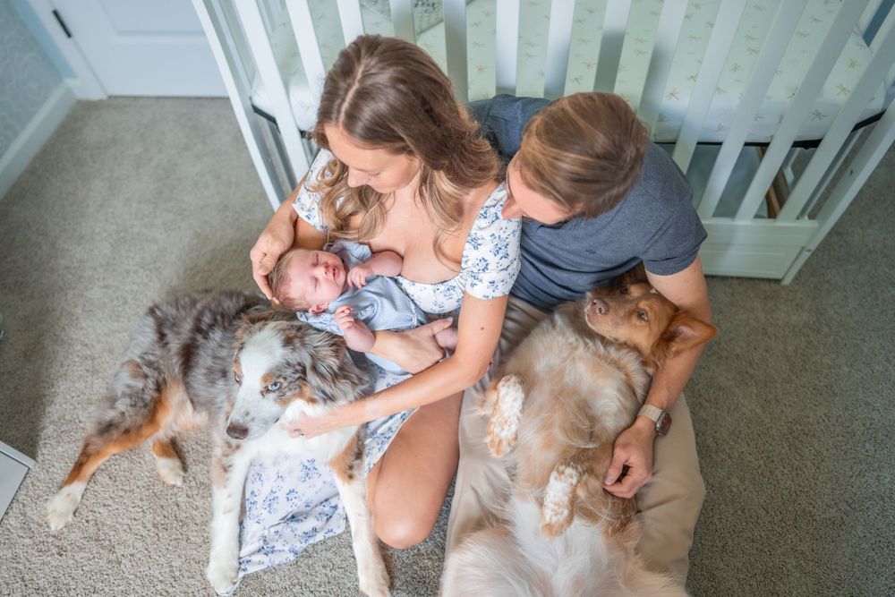 A family relaxes on the floor at home with their Australian Shepherd and Golden Retriever dogs.