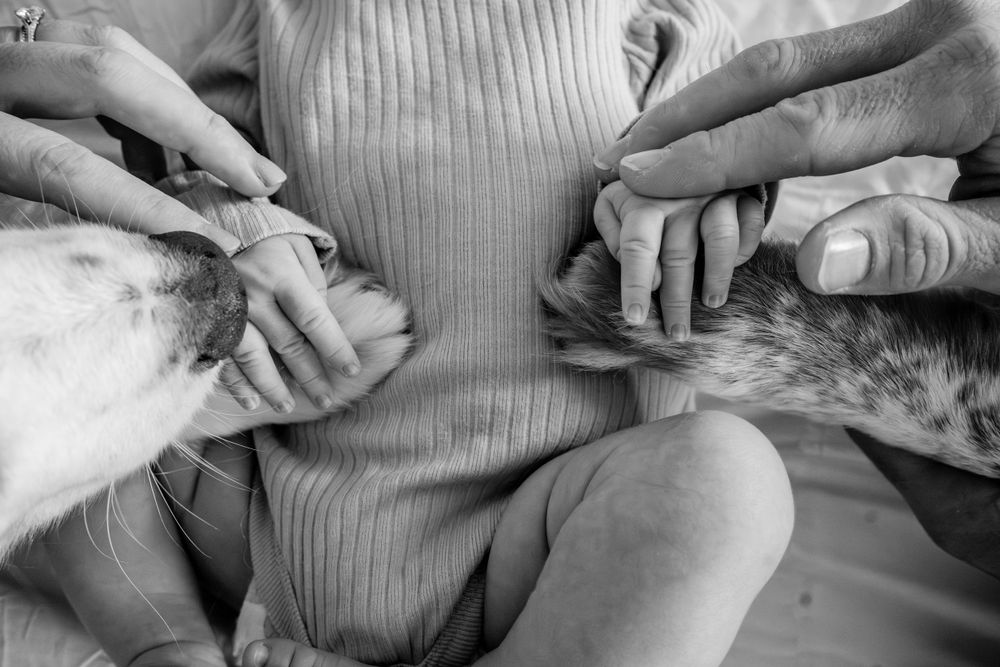 Black and white close-up of multiple hands gently touching and caressing.