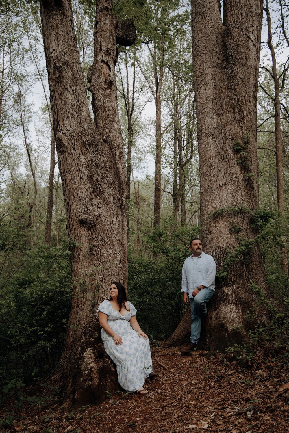 A series of romantic poses captured among tall trees in a forest setting.