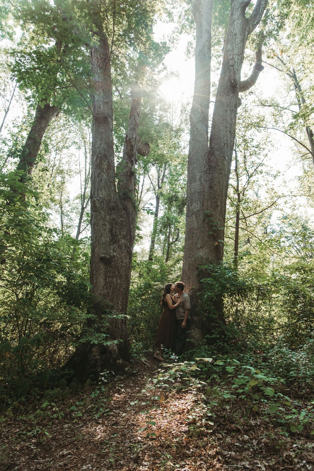 Couple embracing and kissing against tall trees in a sunlit forest, surrounded by lush green foliage.