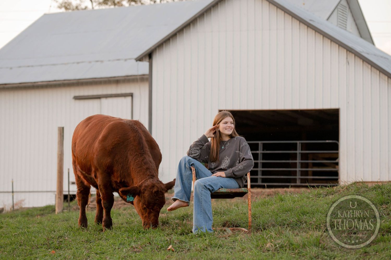 A red cow grazes near someone sitting casually in front of a white barn on a grassy hill.