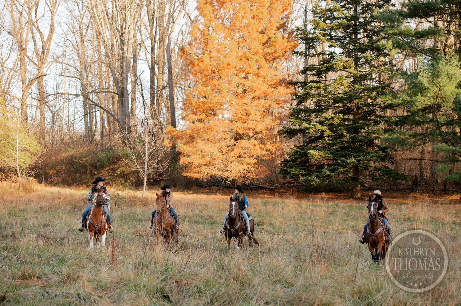 Four equestrians riding horses through fall meadow with colorful autumn trees.