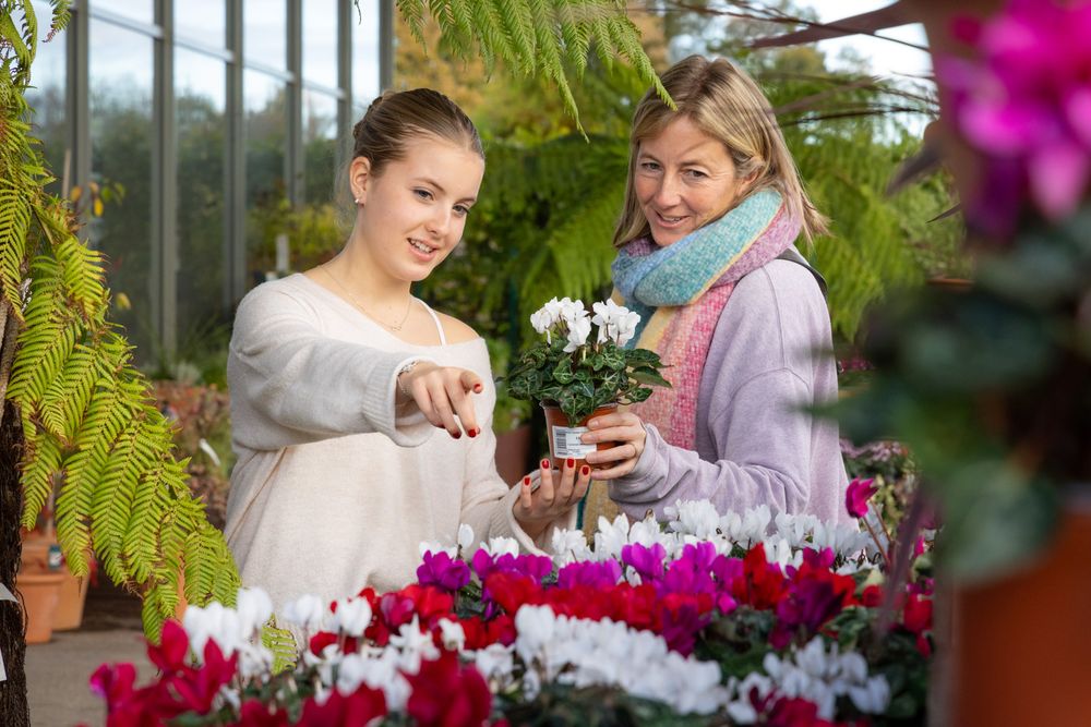 Two people examine white potted flowers together in a greenhouse surrounded by pink blooms and green ferns.