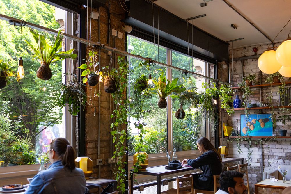 A cozy cafe interior with hanging plants, exposed brick walls and large windows looking out to green foliage.