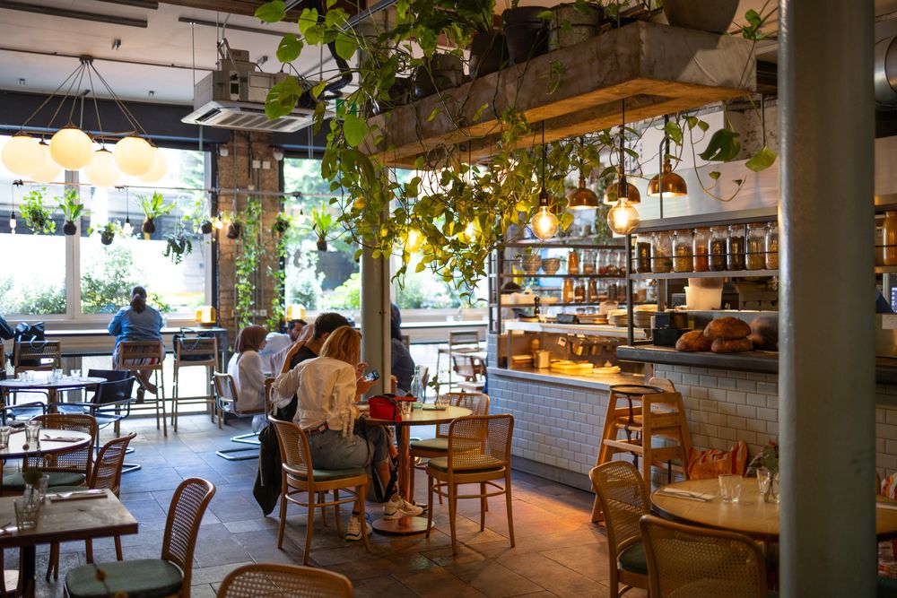A cozy cafe interior with wooden furniture, hanging plants, and natural light streaming through large windows.