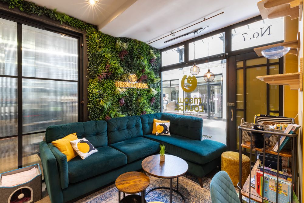 Modern living room with green wall garden, teal sectional sofa, yellow pillows, and floor-to-ceiling windows.