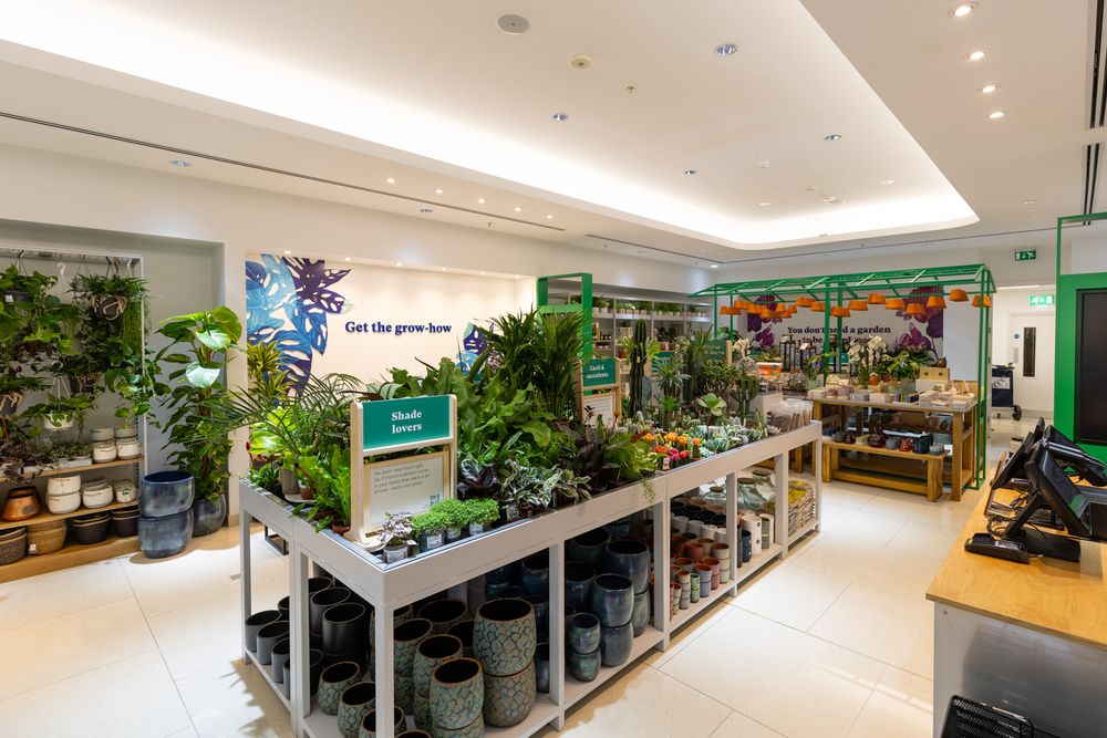 Modern garden center interior with white display tables showcasing houseplants and gardening supplies under bright lighting.