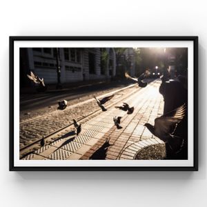 Silhouetted pigeons perch on cobblestone streets at sunset while shadows stretch across textured paving stones.