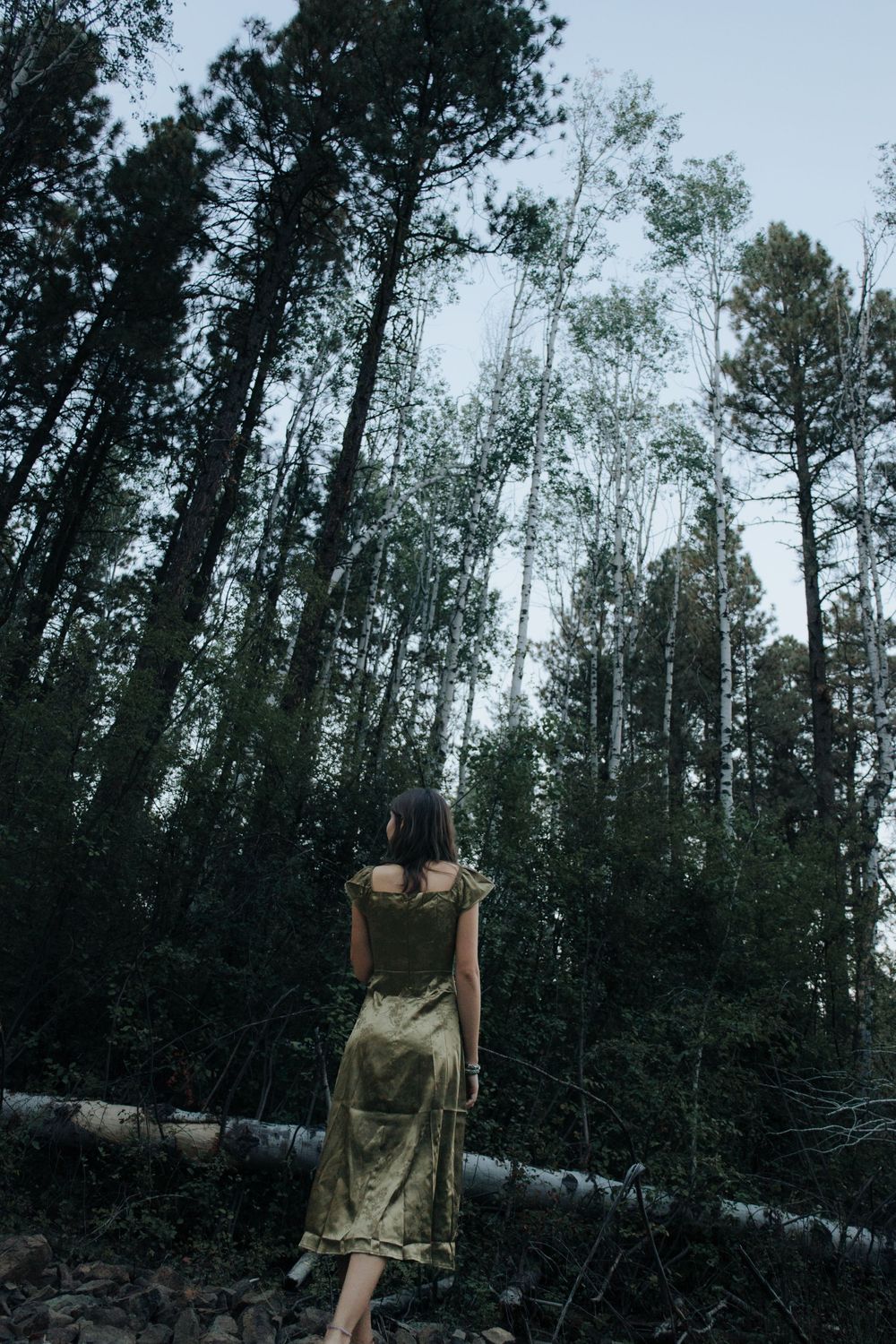 Silhouetted figure photographed against tall birch trees in atmospheric woodland.