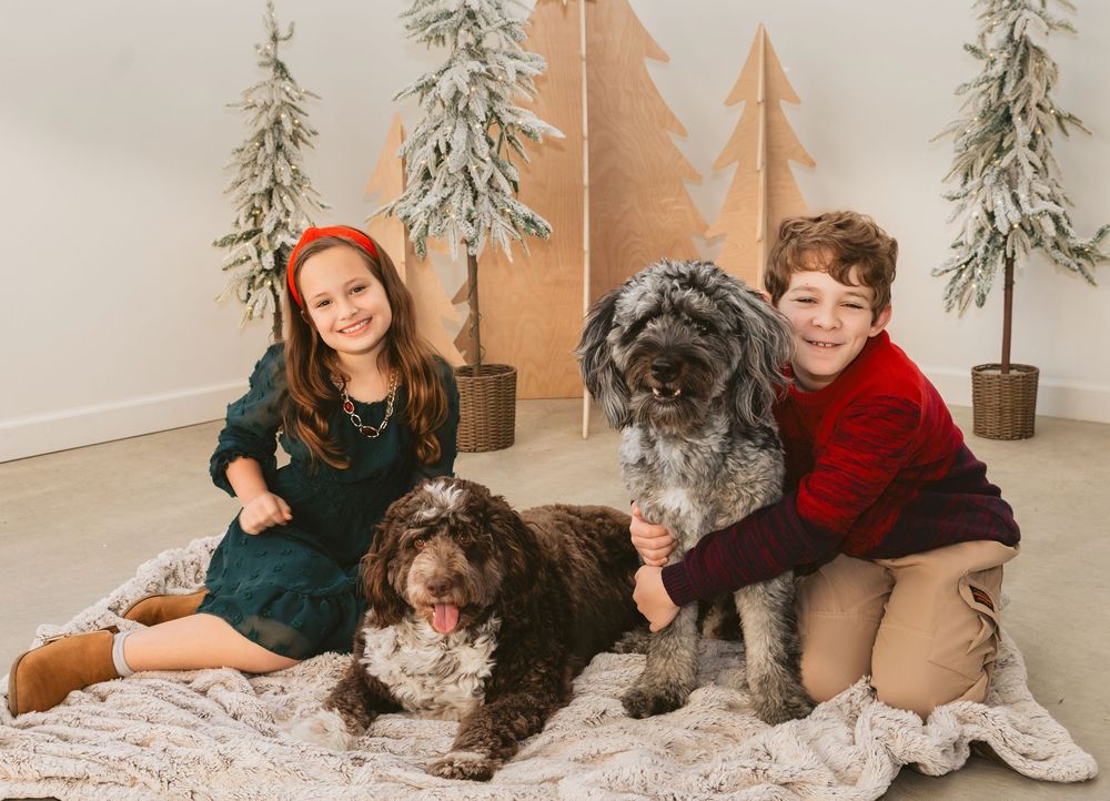 Family poses together on white carpet with Christmas trees and dog during holiday photo session.
