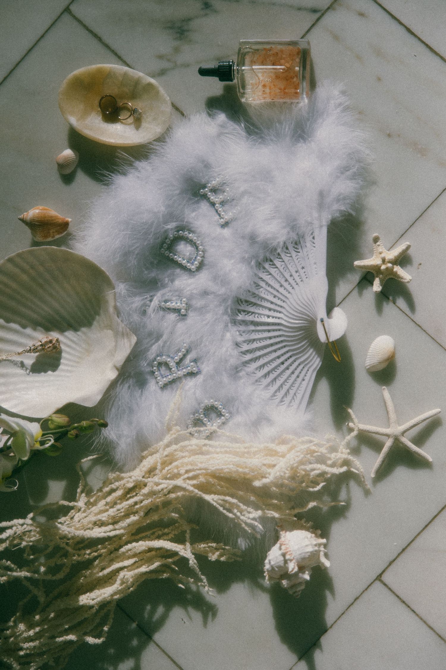 Delicate white seashells, feathers, and dried flowers arranged in an artistic flat lay composition on a marble surface.