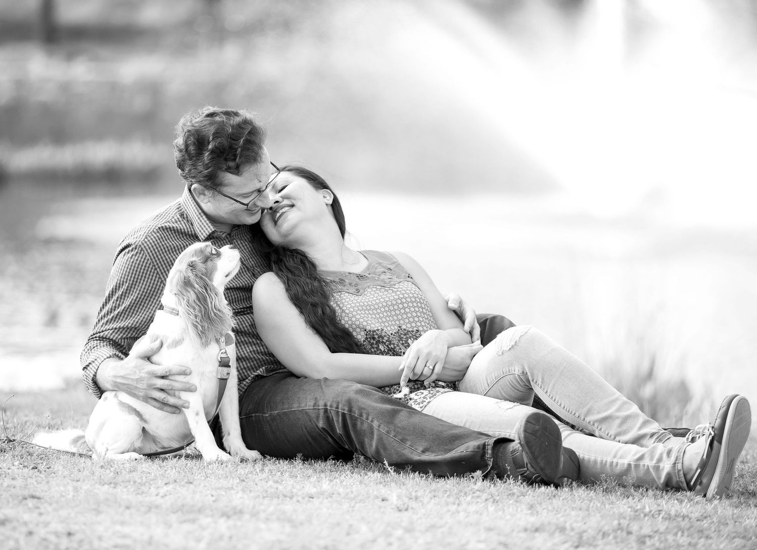 Professional pet portrait of a dog taken in a Bradenton-Sarasota photography studio — high-end studio dog photo by local pet photographer